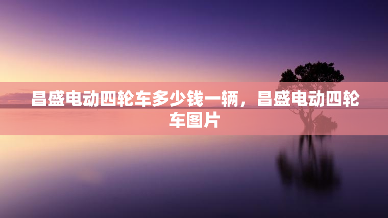 昌盛电动四轮车多少钱一辆，昌盛电动四轮车图片