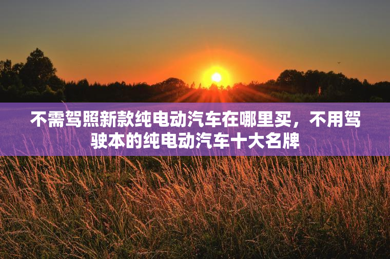 不需驾照新款纯电动汽车在哪里买，不用驾驶本的纯电动汽车十大名牌