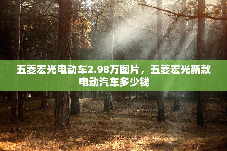 五菱宏光电动车2.98万图片,五菱宏光新款电动汽车多少钱 五菱宏光电动车2.98万图片,五菱宏光新款电动汽车多少钱