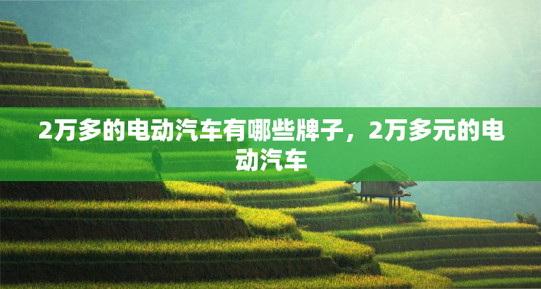 2万多的电动汽车有哪些牌子，2万多元的电动汽车