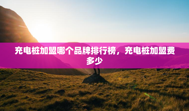 充电桩加盟哪个品牌排行榜，充电桩加盟费多少