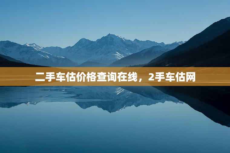二手车估价格查询在线，2手车估网