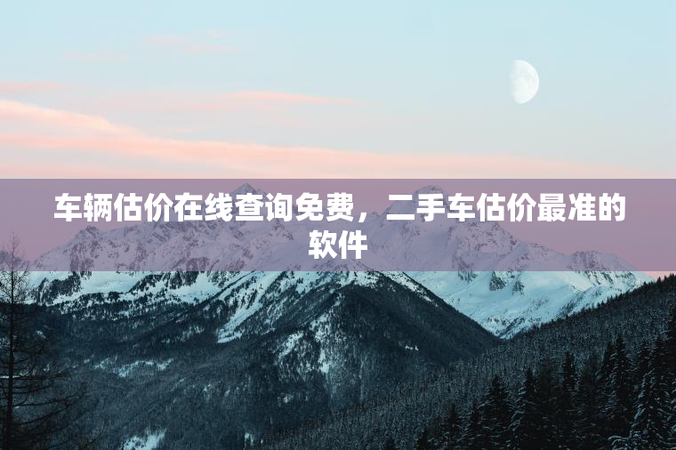 车辆估价在线查询免费,二手车估价最准的软件 车辆估价在线查询免费,二手车估价最准的软件