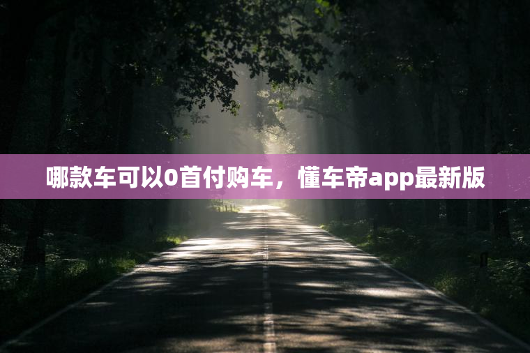 哪款车可以0首付购车，懂车帝app最新版