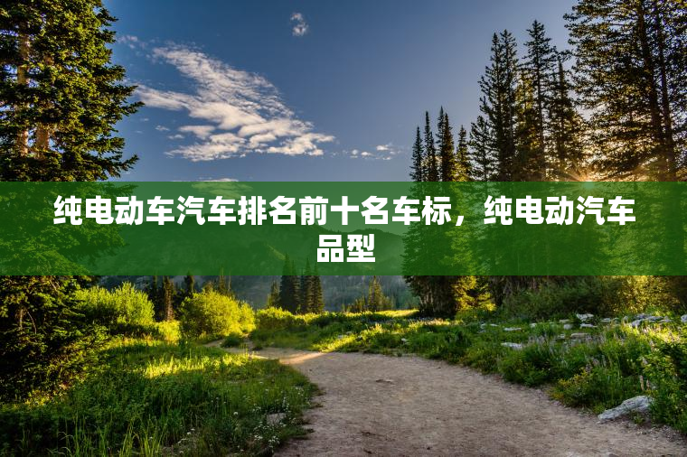 纯电动车汽车排名前十名车标，纯电动汽车品型