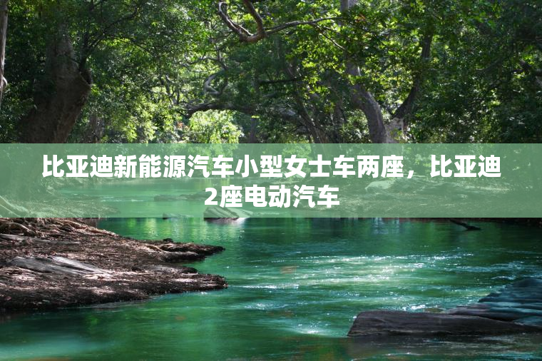 比亚迪新能源汽车小型女士车两座，比亚迪2座电动汽车