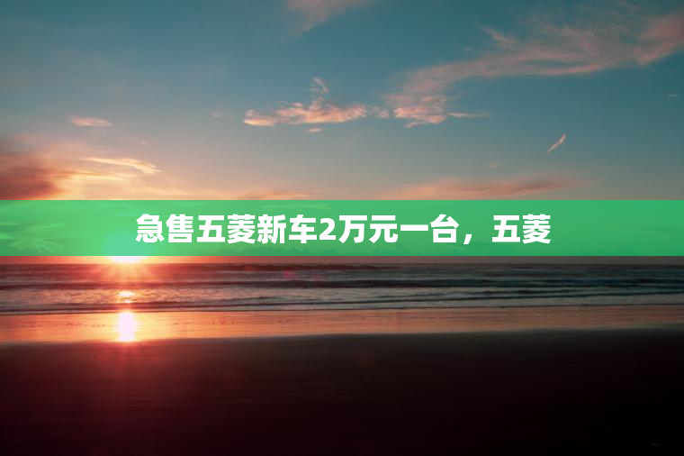 急售五菱新车2万元一台，五菱