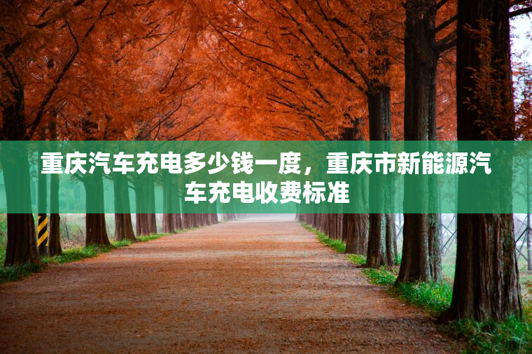 重庆汽车充电多少钱一度，重庆市新能源汽车充电收费标准