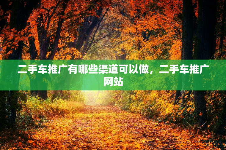二手车推广有哪些渠道可以做，二手车推广网站