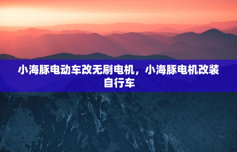 小海豚电动车改无刷电机，小海豚电机改装自行车