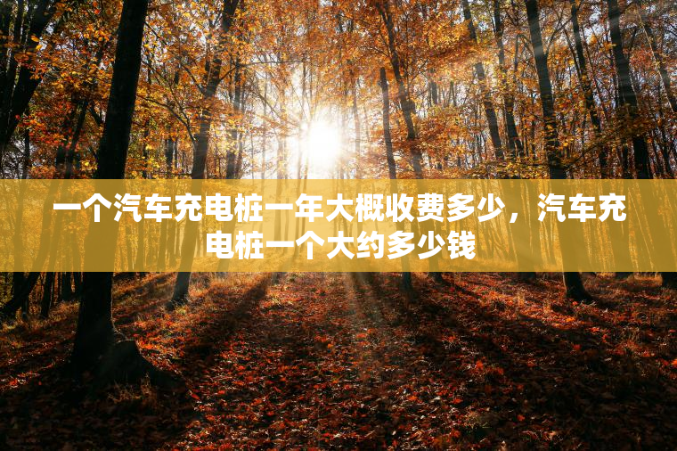 一个汽车充电桩一年大概收费多少，汽车充电桩一个大约多少钱