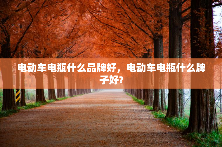 电动车电瓶什么品牌好，电动车电瓶什么牌子好?