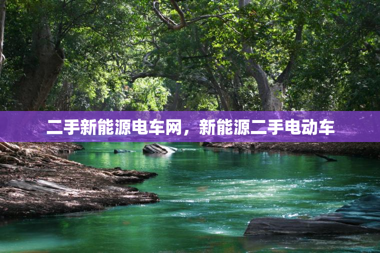 二手新能源电车网，新能源二手电动车