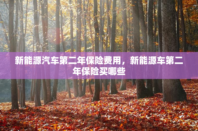 新能源汽车第二年保险费用，新能源车第二年保险买哪些