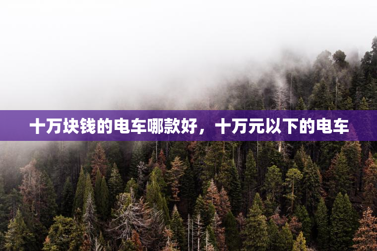 十万块钱的电车哪款好,十万元以下的电车 十万块钱的电车哪款好,十万元以下的电车