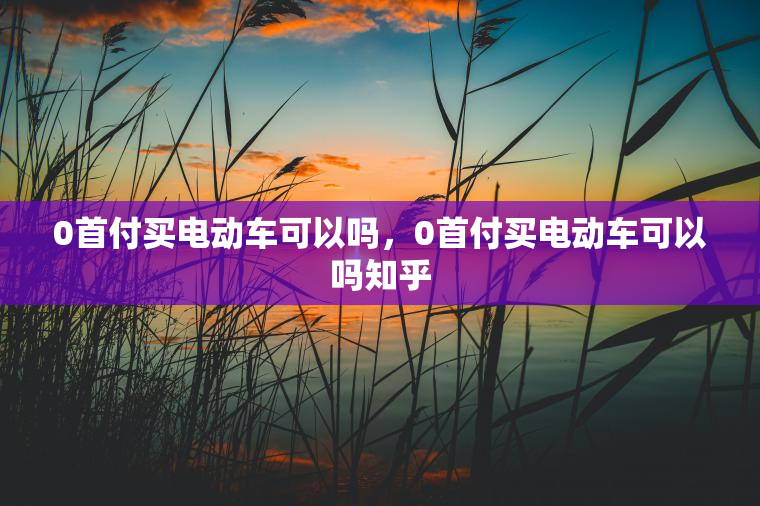 0首付买电动车可以吗,0首付买电动车可以吗知乎 0首付买电动车可以吗,0首付买电动车可以吗知乎