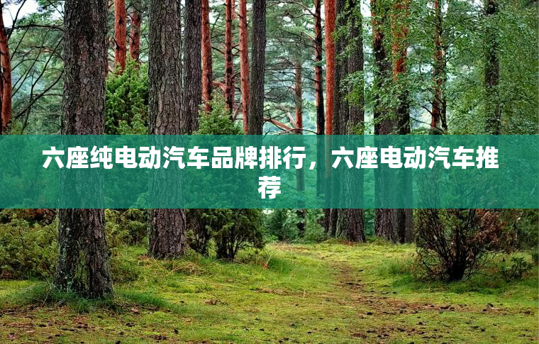 六座纯电动汽车品牌排行，六座电动汽车推荐