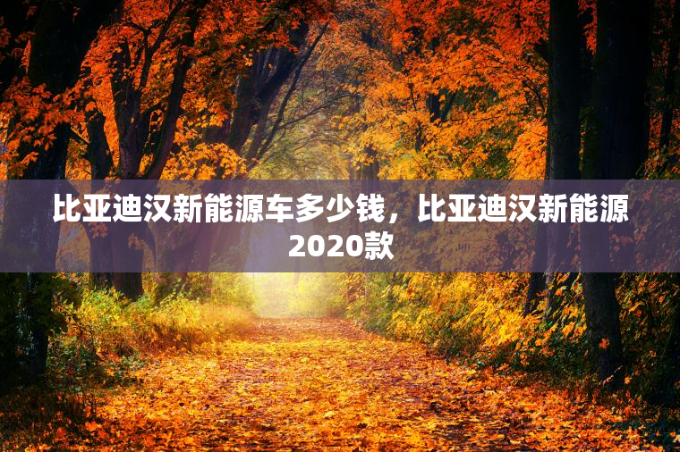 比亚迪汉新能源车多少钱，比亚迪汉新能源2020款