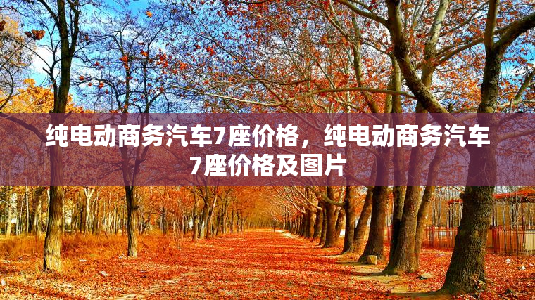 纯电动商务汽车7座价格，纯电动商务汽车7座价格及图片
