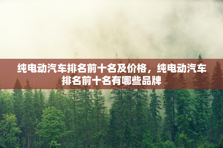 纯电动汽车排名前十名及价格，纯电动汽车排名前十名有哪些品牌