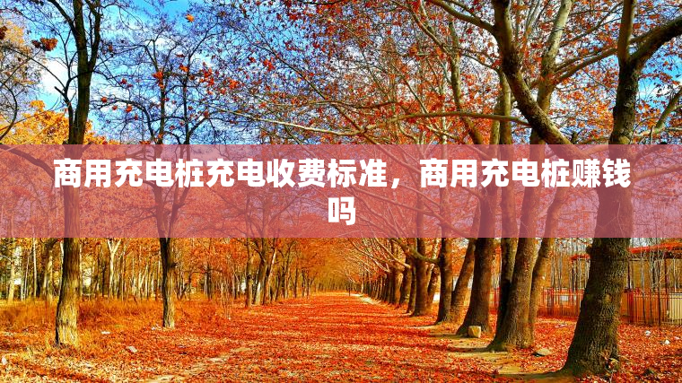 商用充电桩充电收费标准，商用充电桩赚钱吗