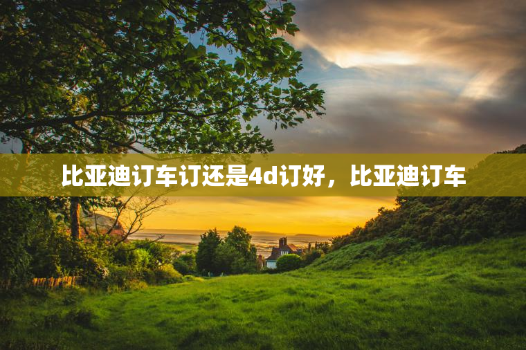 比亚迪订车订还是4d订好，比亚迪订车