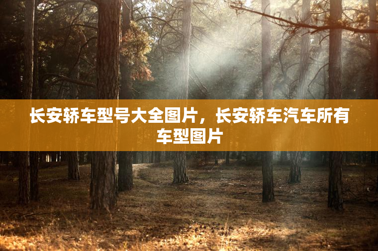 长安轿车型号大全图片，长安轿车汽车所有车型图片