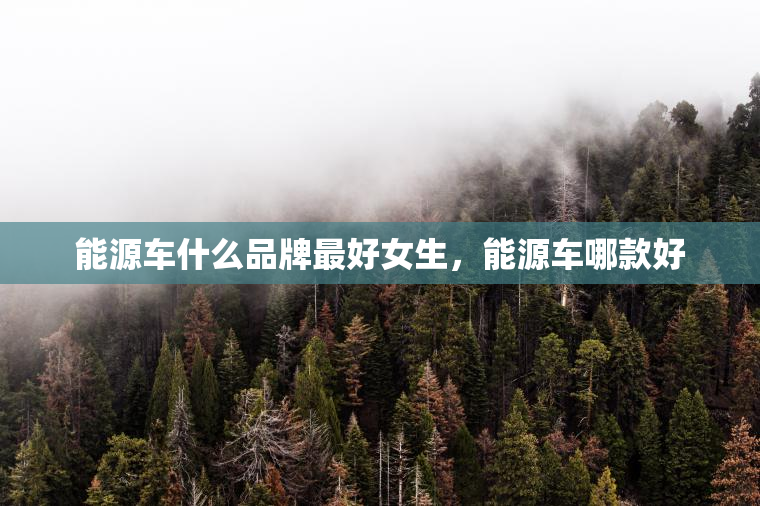 能源车什么品牌最好女生，能源车哪款好