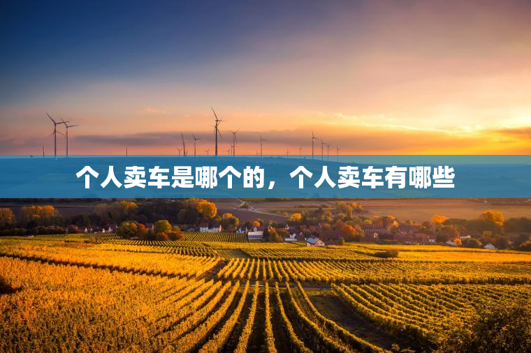 个人卖车是哪个的，个人卖车有哪些