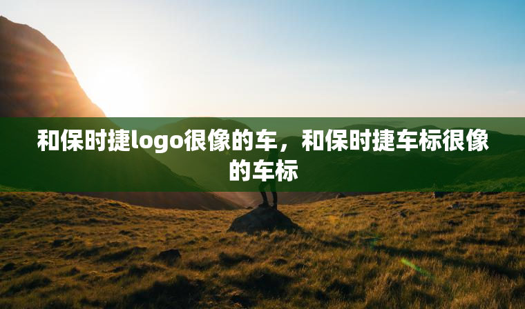 和保时捷logo很像的车，和保时捷车标很像的车标