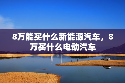 8万能买什么新能源汽车，8万买什么电动汽车