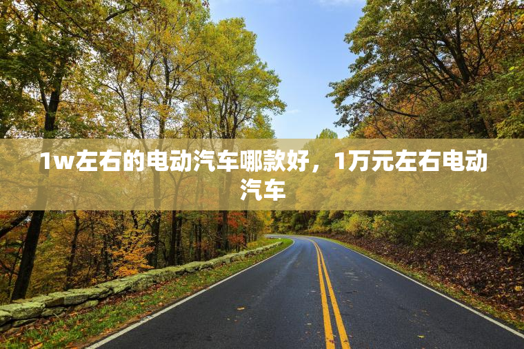1w左右的电动汽车哪款好，1万元左右电动汽车