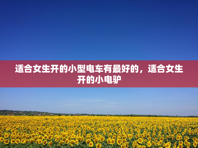 适合女生开的小型电车有最好的，适合女生开的小电驴