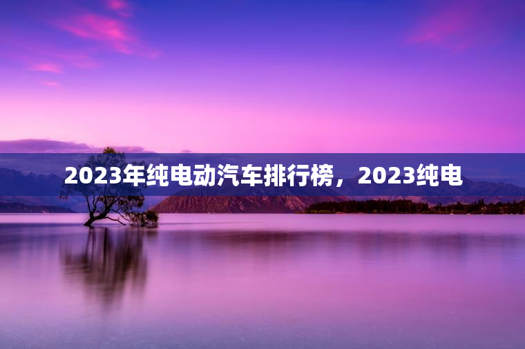 2023年纯电动汽车排行榜，2023纯电