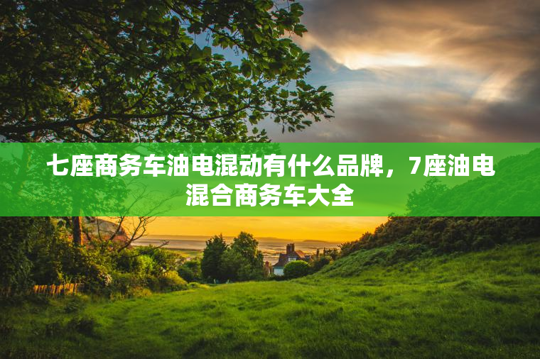 七座商务车油电混动有什么品牌,7座油电混合商务车大全 七座商务车油电混动有什么品牌,7座油电混合商务车大全