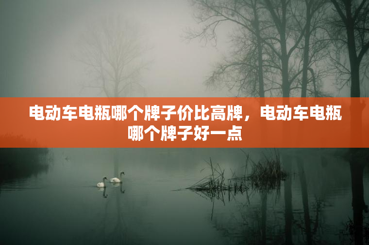 电动车电瓶哪个牌子价比高牌，电动车电瓶哪个牌子好一点