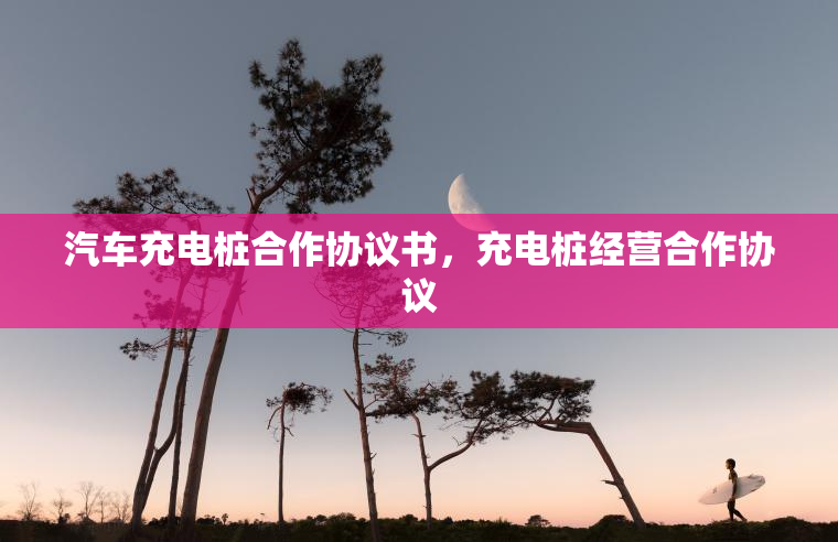 汽车充电桩合作协议书，充电桩经营合作协议