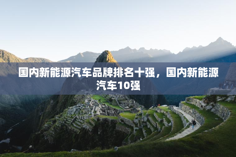 国内新能源汽车品牌排名十强，国内新能源汽车10强