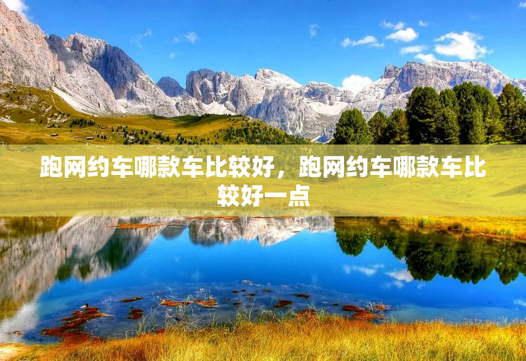 跑网约车哪款车比较好,跑网约车哪款车比较好一点 跑网约车哪款车比较好,跑网约车哪款车比较好一点