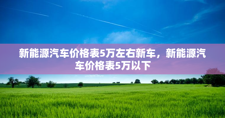 新能源汽车价格表5万左右新车，新能源汽车价格表5万以下