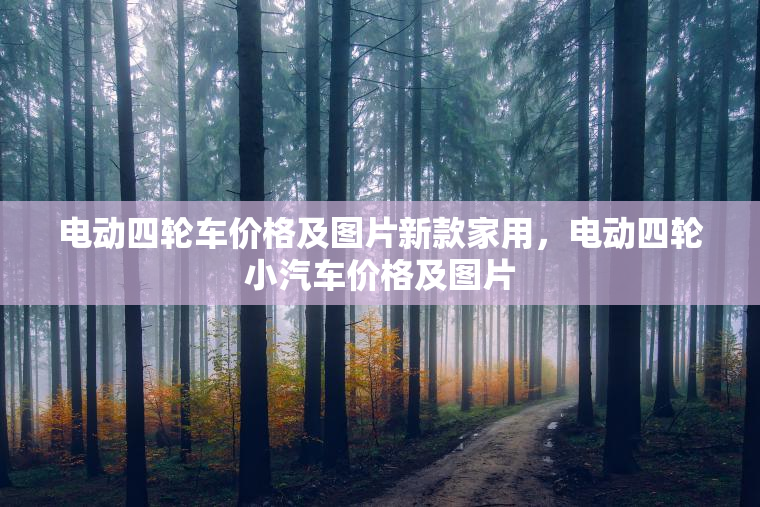 电动四轮车价格及图片新款家用，电动四轮小汽车价格及图片