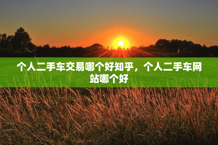 个人二手车交易哪个好知乎，个人二手车网站哪个好
