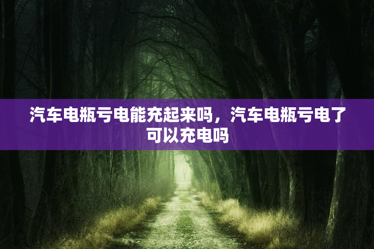 汽车电瓶亏电能充起来吗，汽车电瓶亏电了可以充电吗