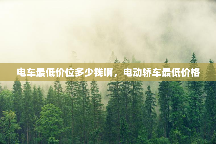 电车最低价位多少钱啊，电动轿车最低价格