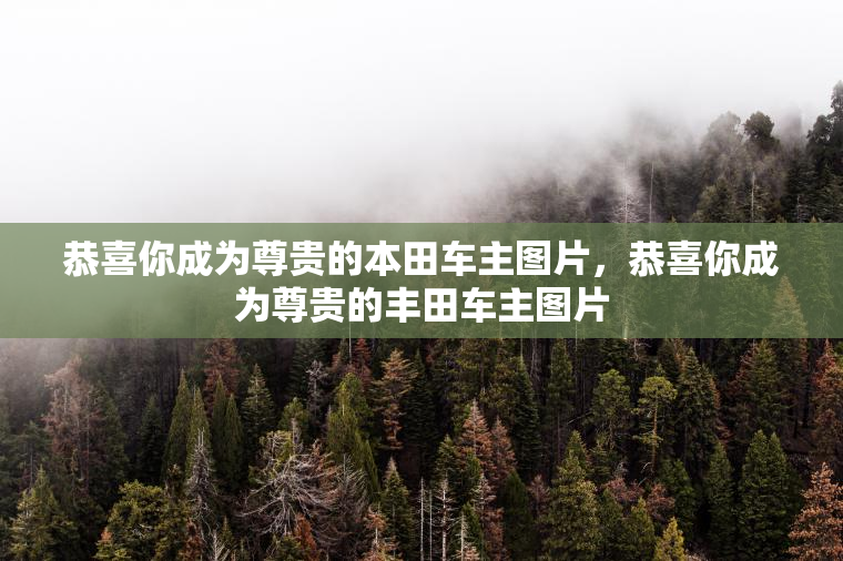 恭喜你成为尊贵的本田车主图片，恭喜你成为尊贵的丰田车主图片