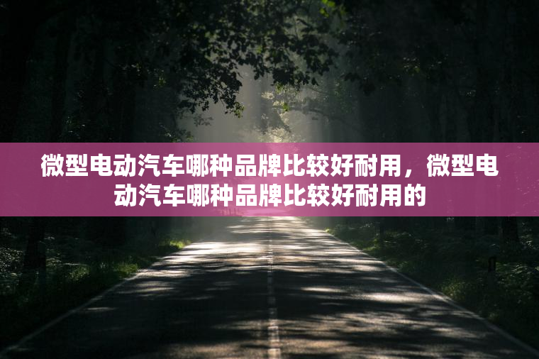 微型电动汽车哪种品牌比较好耐用，微型电动汽车哪种品牌比较好耐用的