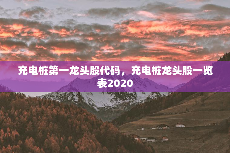 充电桩第一龙头股代码，充电桩龙头股一览表2020