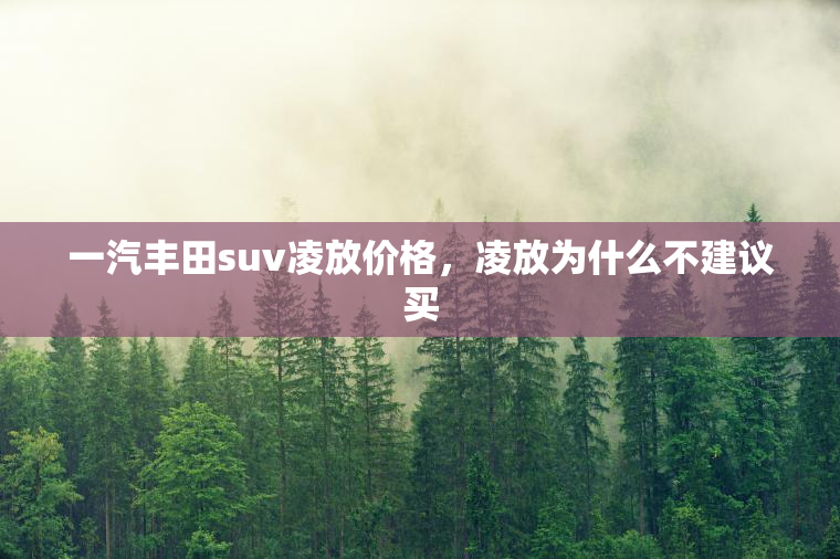 一汽丰田suv凌放价格，凌放为什么不建议买