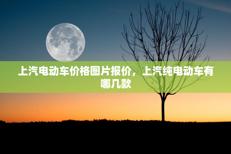 上汽电动车价格图片报价，上汽纯电动车有哪几款