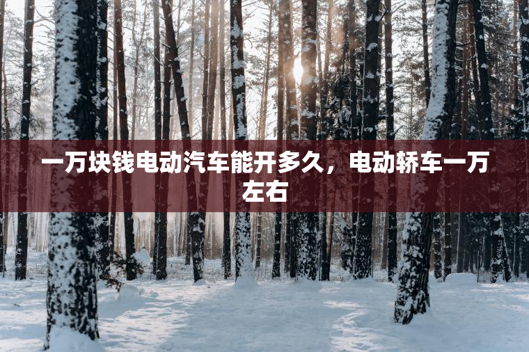 一万块钱电动汽车能开多久，电动轿车一万左右